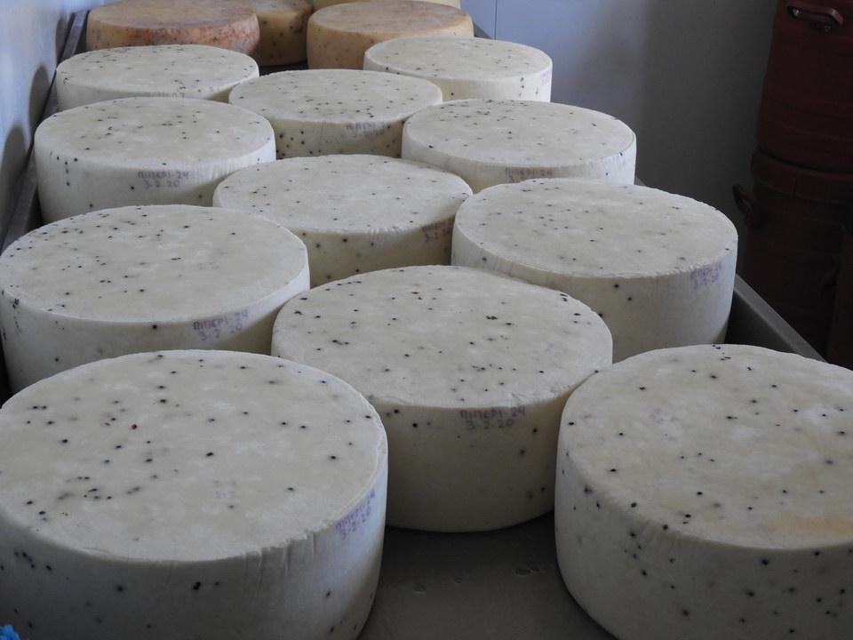 Important points in the cheese production technology
