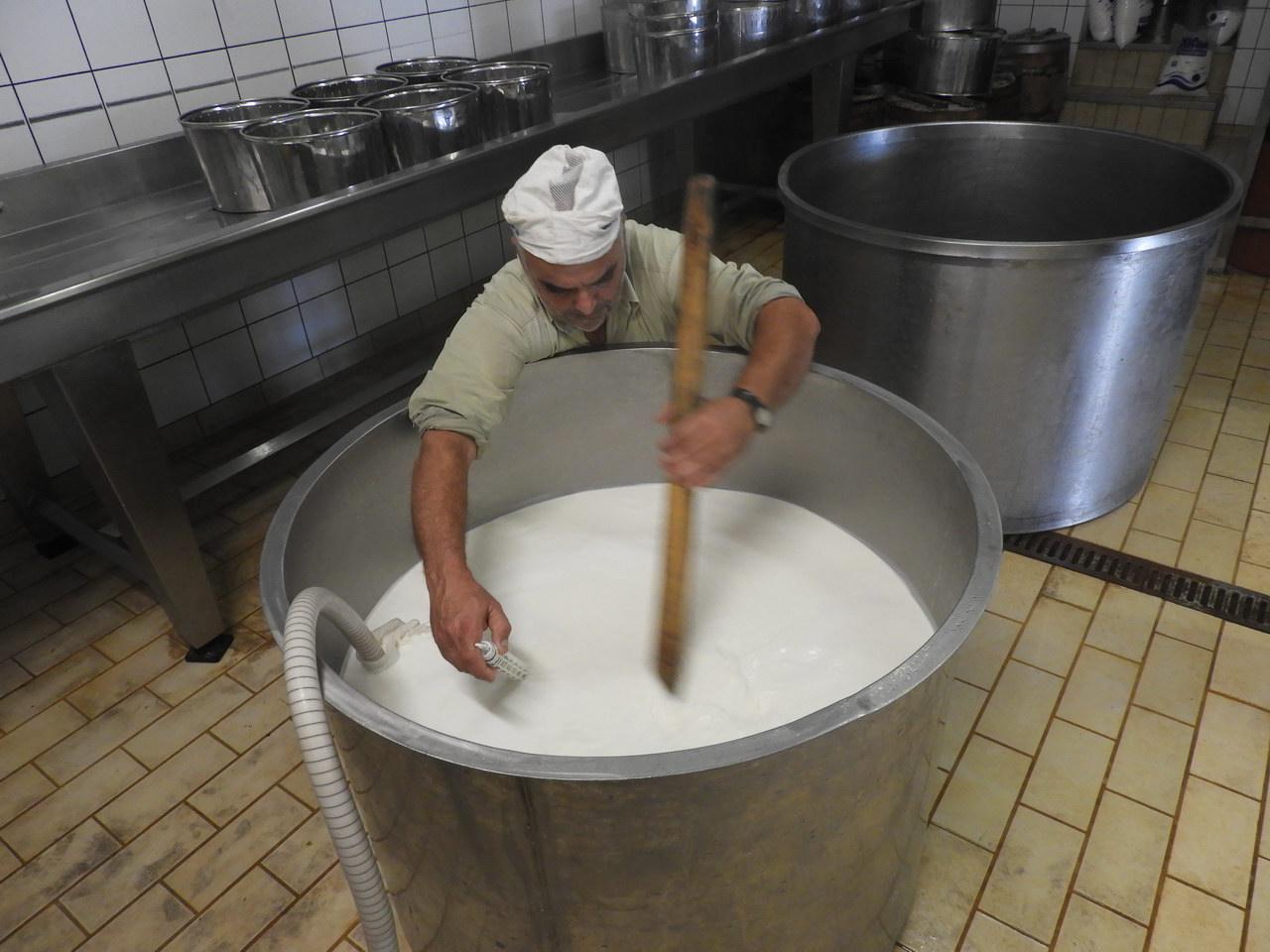 Μεταξύ των νησιών του Ιονίου, στην Κεφαλονιά παράγεται η μεγαλύτερη ποσότητα γάλακτος